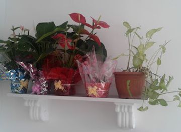 uruguay/maldonado/nightclub/mercosur-universitas