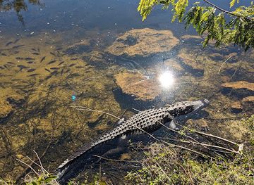 florida/big-cypress-national-preserve/nightclub/big-cypress-oasis-visitor-center