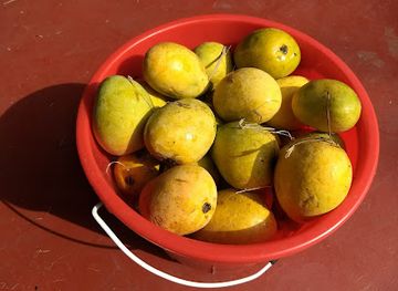 india/panaji/campal/nightclub/heritage-jazz