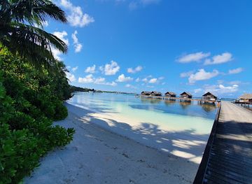 maldives/addu-city/nightclub/m-lounge-manzaro-bar