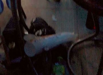 dominican-republic/la-romana/nightclub/club-del-rey