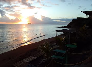 Rum Dawg Beach Bar & Grill