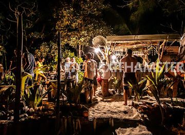 Summer Bar