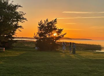 estonia/saaremaa-island/nightclub/piidivabrik