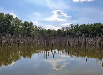 hungary/vertes-mountains/nightclub/kacsas-to-medvehagyma