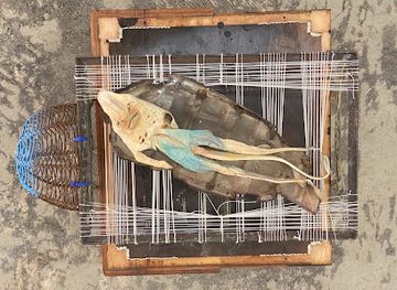 minnesota/saint-paul/nightclub/night-club