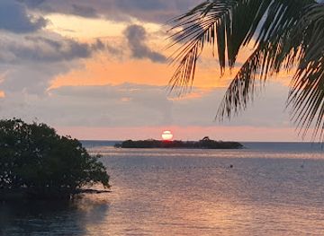 florida/marathon-key/nightclub/barnacle-barney-s-tiki-bar-and-grill