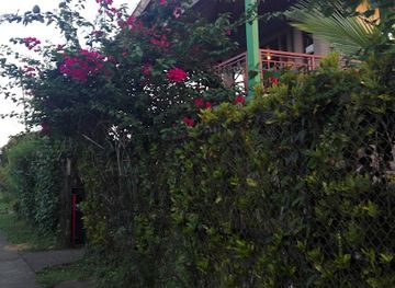 Sabor Tropical
