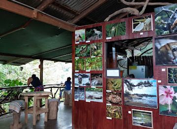 costa-rica/corcovado-national-park/nightclub/nature-cafe
