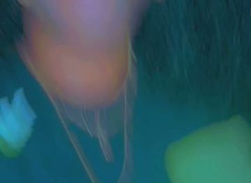 liberia/central-region/nightclub/ares-conner-night-club