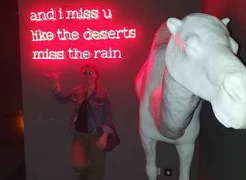 turkiye/istanbul/besiktas/nightclub/bedevi-official