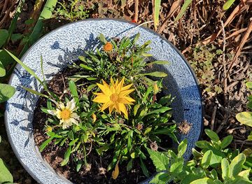 hungary/vertes-mountains/nightclub/szerelemvolgy