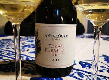 hungary/tokaj-wine-region/nightclub/antaloczy-borterasz