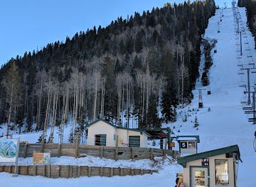 new-mexico/taos-ski-valley/nightclub/martini-tree-room