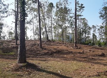 florida/florida-caverns-state-park/nightclub/judge-s-cave-wildlife-environmental-area