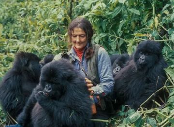 rwanda/nyungwe-forest-national-park/nightclub/nyungwe-national-park