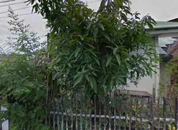 indonesia/manado/nightclub/engrit