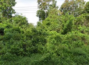 sri-lanka/minneriya-national-park/nightclub/kk-mrk