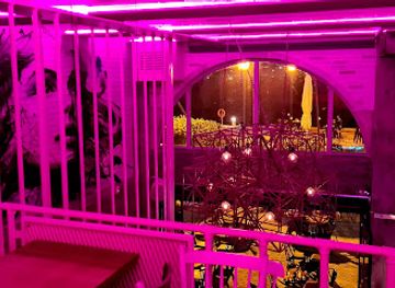 greece/samos/nightclub/solid-all-day-spot