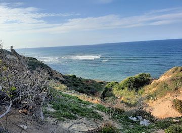 libya/jebel-akhdar/nightclub/