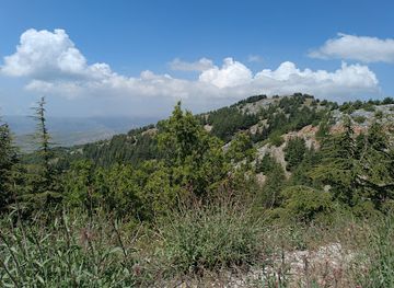lebanon/al-shouf-cedar-nature-reserve/nightclub/shouf-biosphere-reserve-entrance-to-the-barouk-cedar-forest