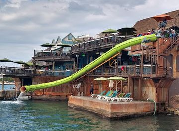 jamaica/martha-brae-river-valley/nightclub/margaritaville-montego-bay