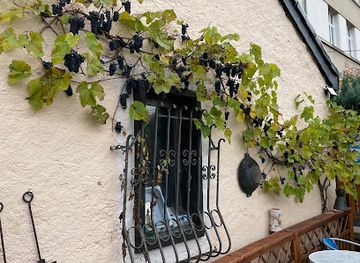 luxembourg/wiltz/nightclub/le-carre-bar