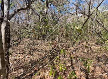costa-rica/santa-rosa-national-park/nightclub/entrada-a-santa-rosa