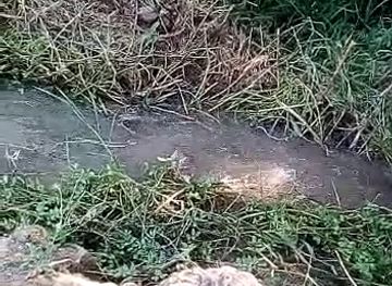 chile/la-serena/la-serena-downtown/nightclub/new-spot