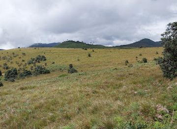 sri-lanka/horton-plains-national-park/nightclub/horton-plains-sri-lanka