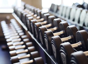 jordan/petra/nightclub/petra-falcon-center-fitness-bodybuilding