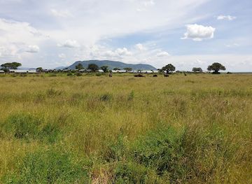 tanzania/ruaha-national-park/nightclub/ruaha-national-park-ingresso