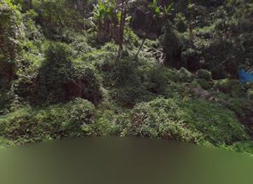 india/sikkim/nightclub/good-vibes