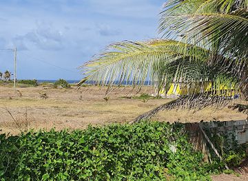 barbados/animal-flower-cave/nightclub/candales-outback