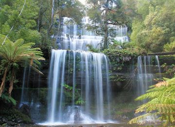 australia/mount-field-national-park/nightclub/mount-field-national-park