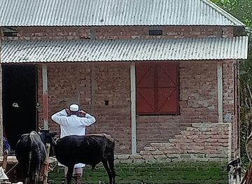 bangladesh/tanguar-haor/nightclub/adnan-sagor