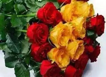 bangladesh/chittagong-division/nightclub/shekh-rasel-smirity-songshod