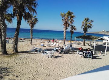 malta/mellieha-bay-area/nightclub/palm-beach