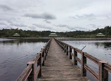 Labi Forest Reserve
