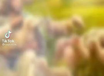 ethiopia/gondar/fasil-ghebbi/nightclub/tikul-lounge