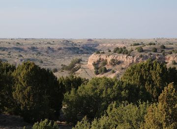 texas/palo-duro-canyon-state-park/nightclub/bar-z-winery