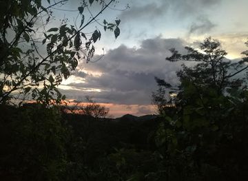 costa-rica/monteverde-cloud-forest/nightclub/monteverde-night-tour-don-rodolfo