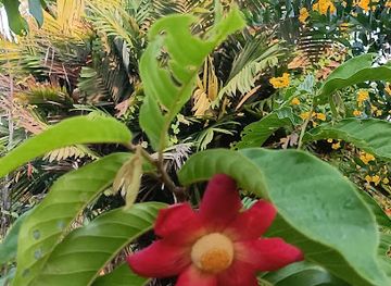 thailand/ayutthaya/wat-chaiwatthanaram/nightclub/gps2