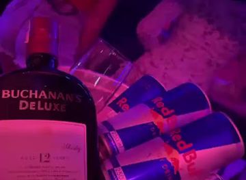 brazil/florianopolis/canasvieiras/nightclub/boate-dama-da-noite