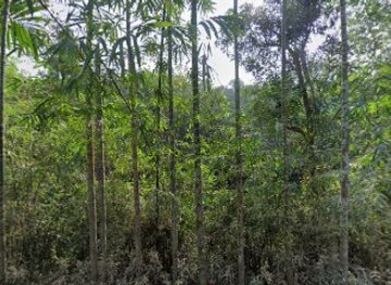 bangladesh/jaflong/nightclub/bangla-bar-rest-house