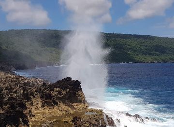 The Blowholes