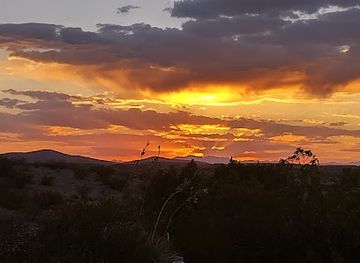 new-mexico/truth-or-consequences/nightclub/t-or-c-trap-club