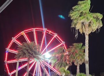 texas/padre-island-national-seashore/nightclub/harry-s-bar