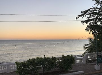 puerto-rico/vieques-island/nightclub/trade-winds-bar-restaurant-guest-house-gift-shop