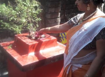 india/sundarbans/nightclub/friend-association-club